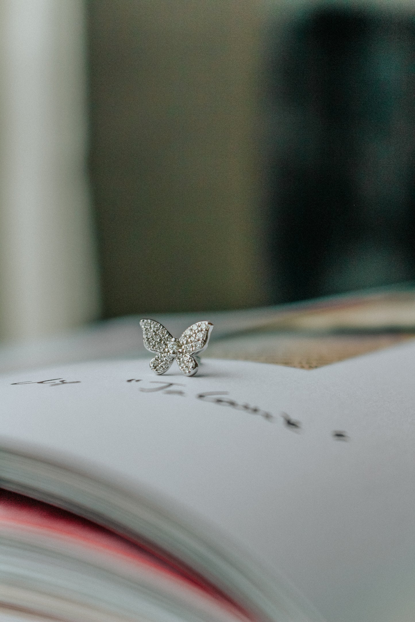 The Diamond Wudeep Earring