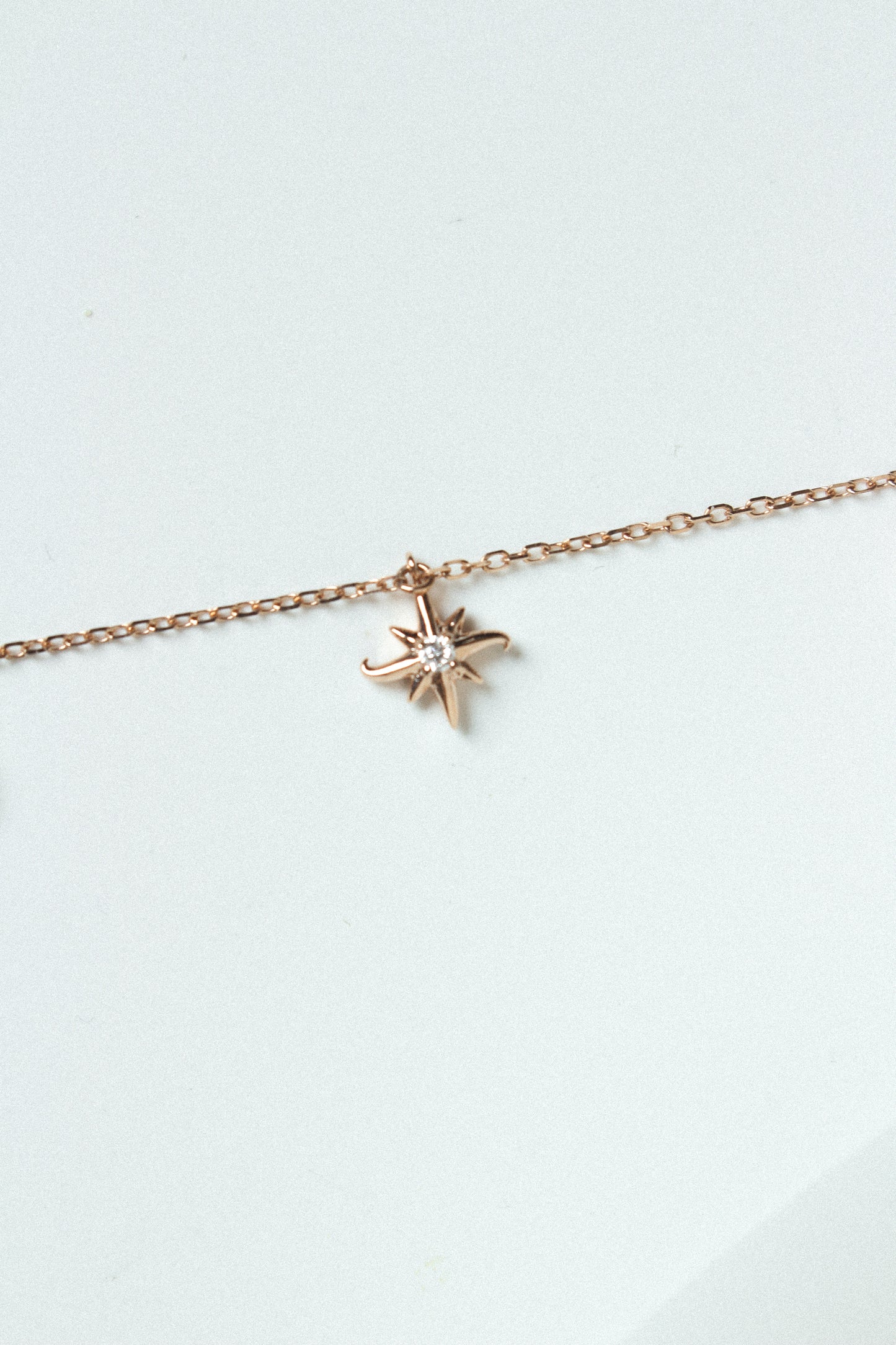 Étui Charms Necklace - The Haylie Étoile Charm